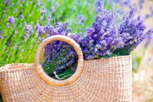 decorare casa con la lavanda
