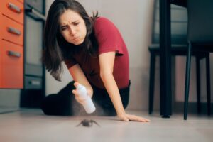 eliminare mosche, formiche e ragni in modo naturale