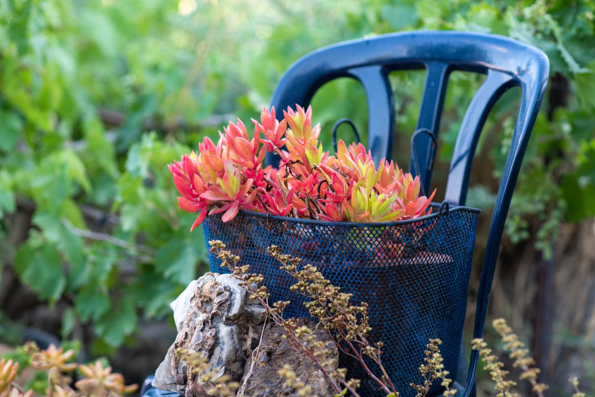 arredamento da giardino