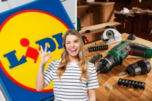 lidl avvitatore ricaricabile
