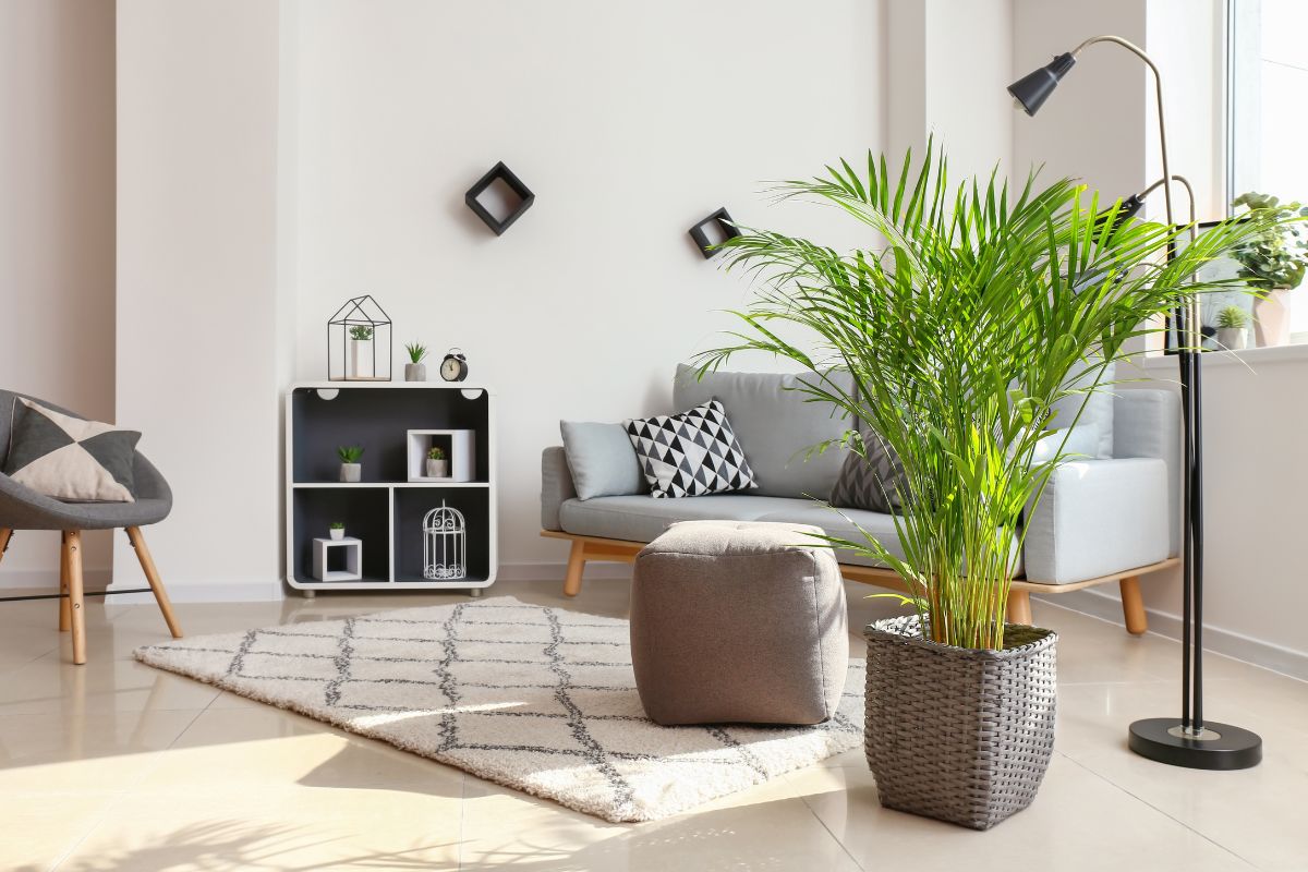 segreti dei designer casa con piccoli spazi