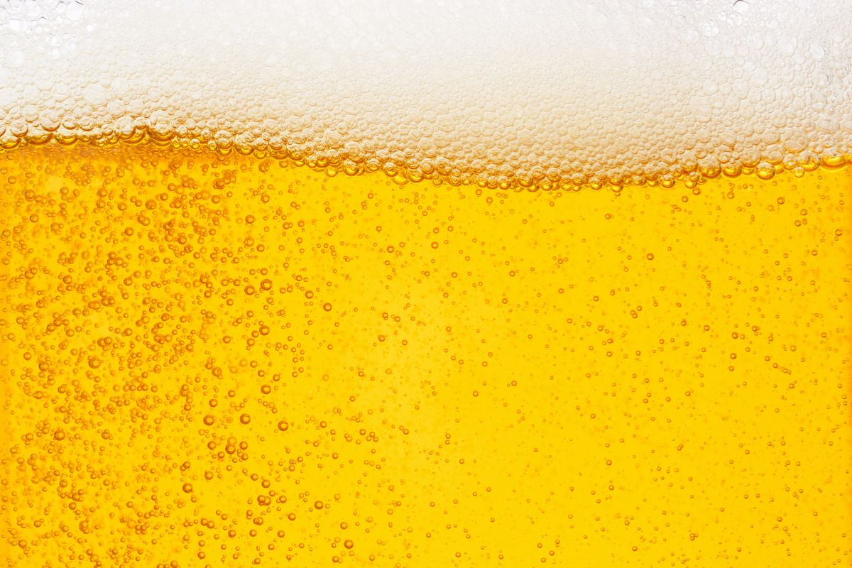 trappola con la birra per zanzare