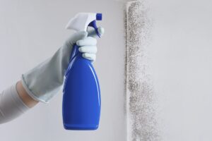 spray antimuffa fai-da-te naturale