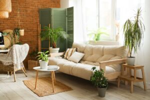 posizionare le piante in base alla luce