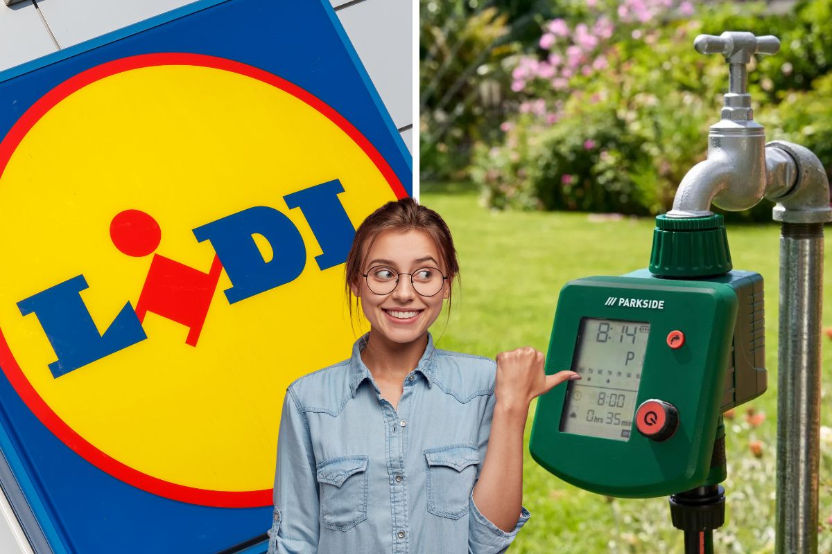lidl computer per irrigazione parkside