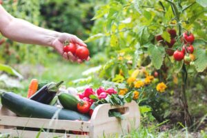 orto da maggio a luglio