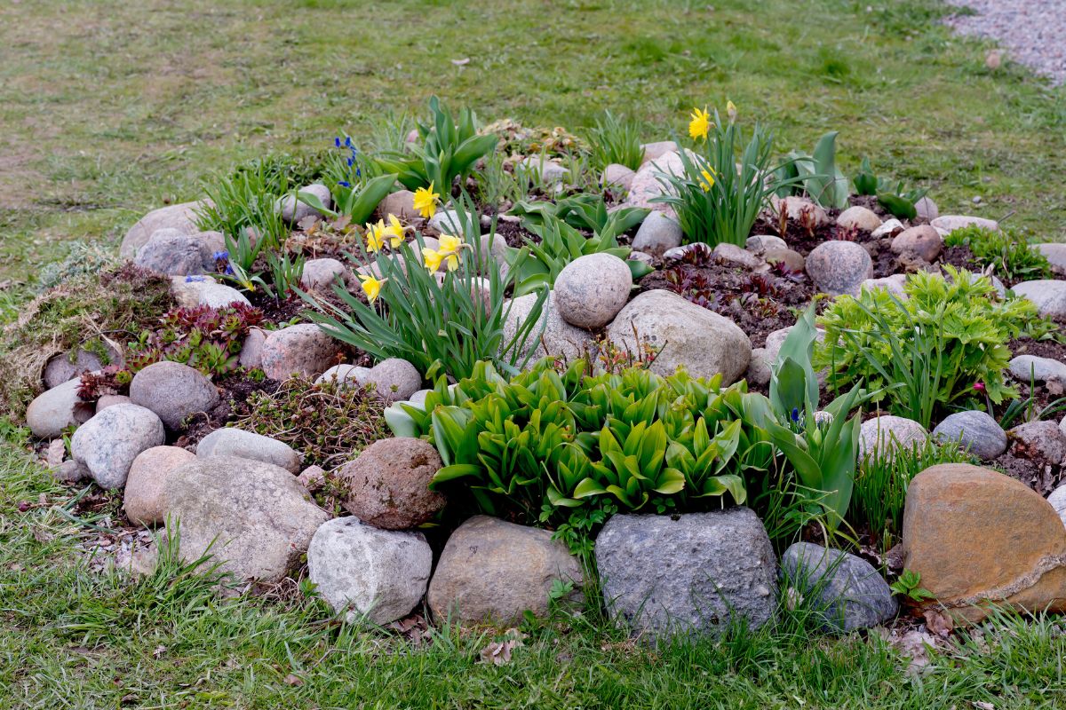 come decorare con i sassi il giardino