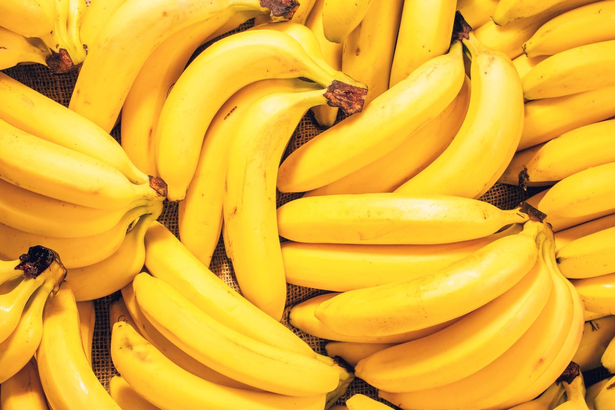 banana per radicare la talea