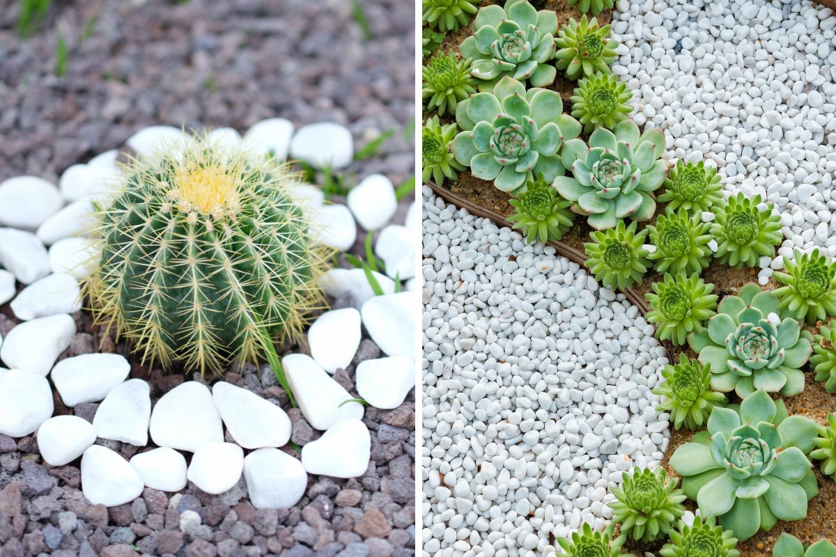 come decorare con i sassi il giardino