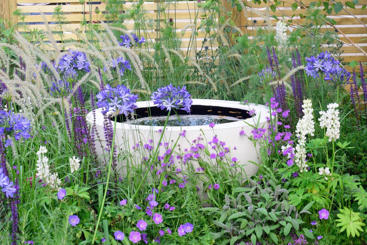 giardino sensoriale