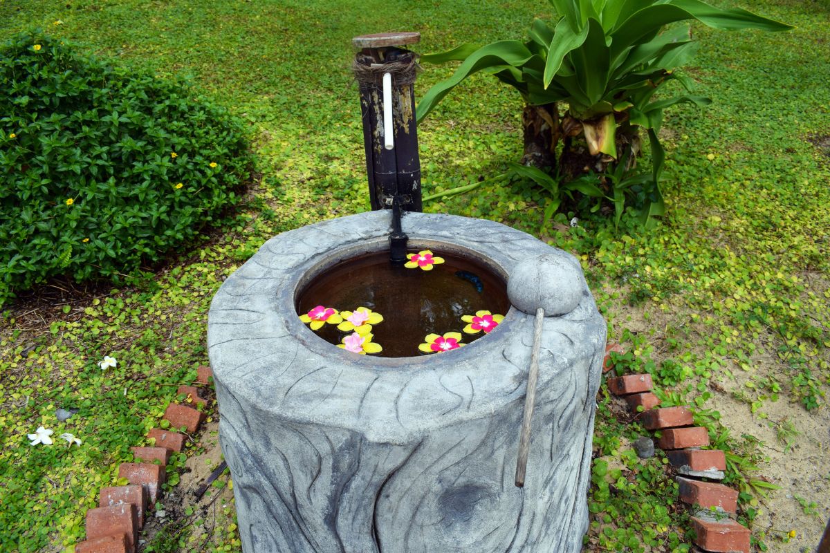 giardino sensoriale con acqua nella ciotola