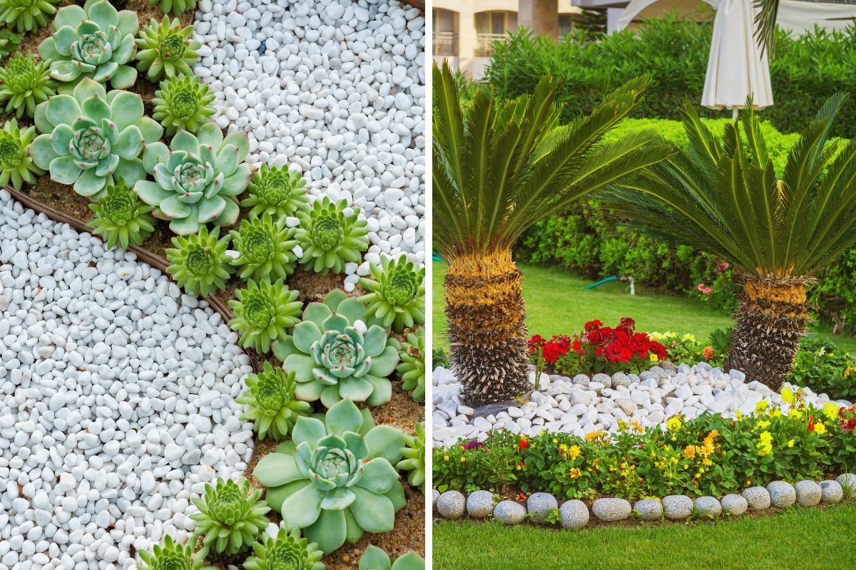 come decorare con i sassi il giardino