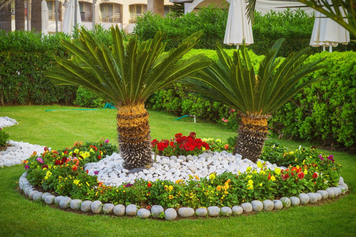 idee decorative giardino con i sassi