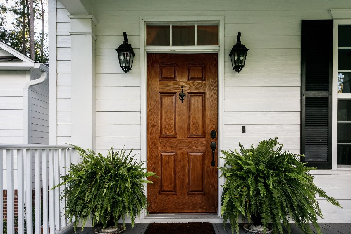 decorare l’ingresso di casa con piante