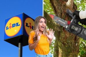 lidl motosega ricaricabile parkside