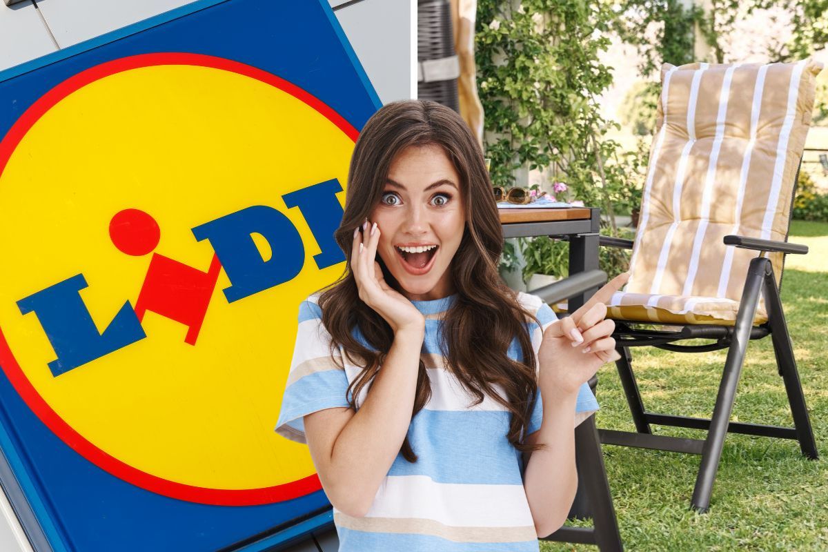 da lidl offerte giardino