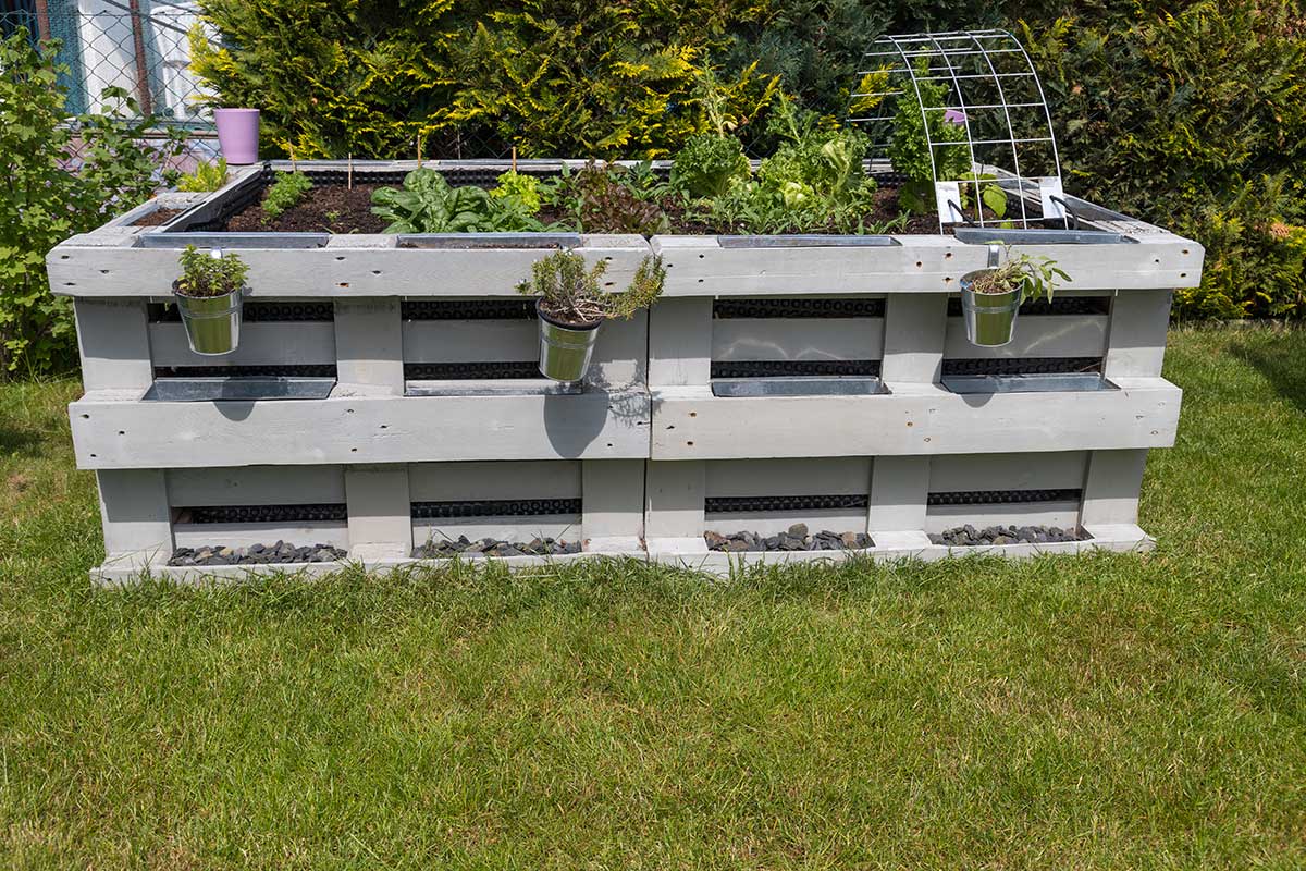bellissimo orto rialzato in giardino realizzato con 6 pallet di legno