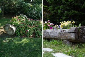 tendenza wild fiori dentro tronchi cavi