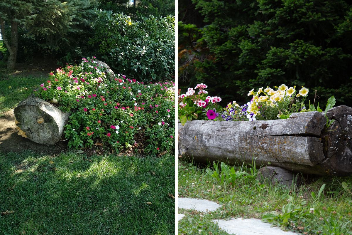 tendenza wild fiori dentro tronchi cavi