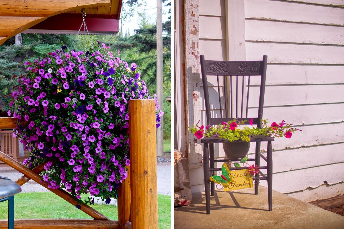piante e decorazioni portico rustico