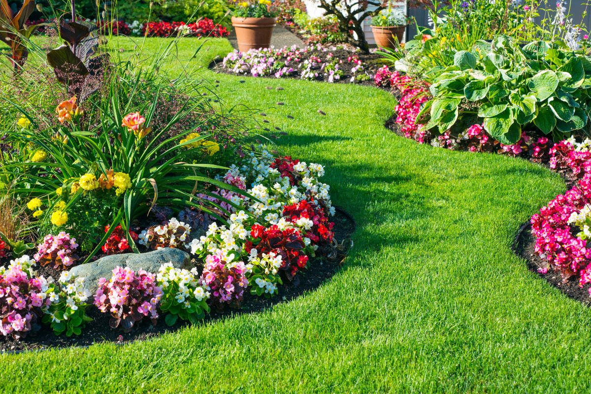 giardino profumato in ogni stagione
