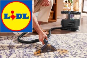 Lidl, pulitore portatile per tappeti in offerta