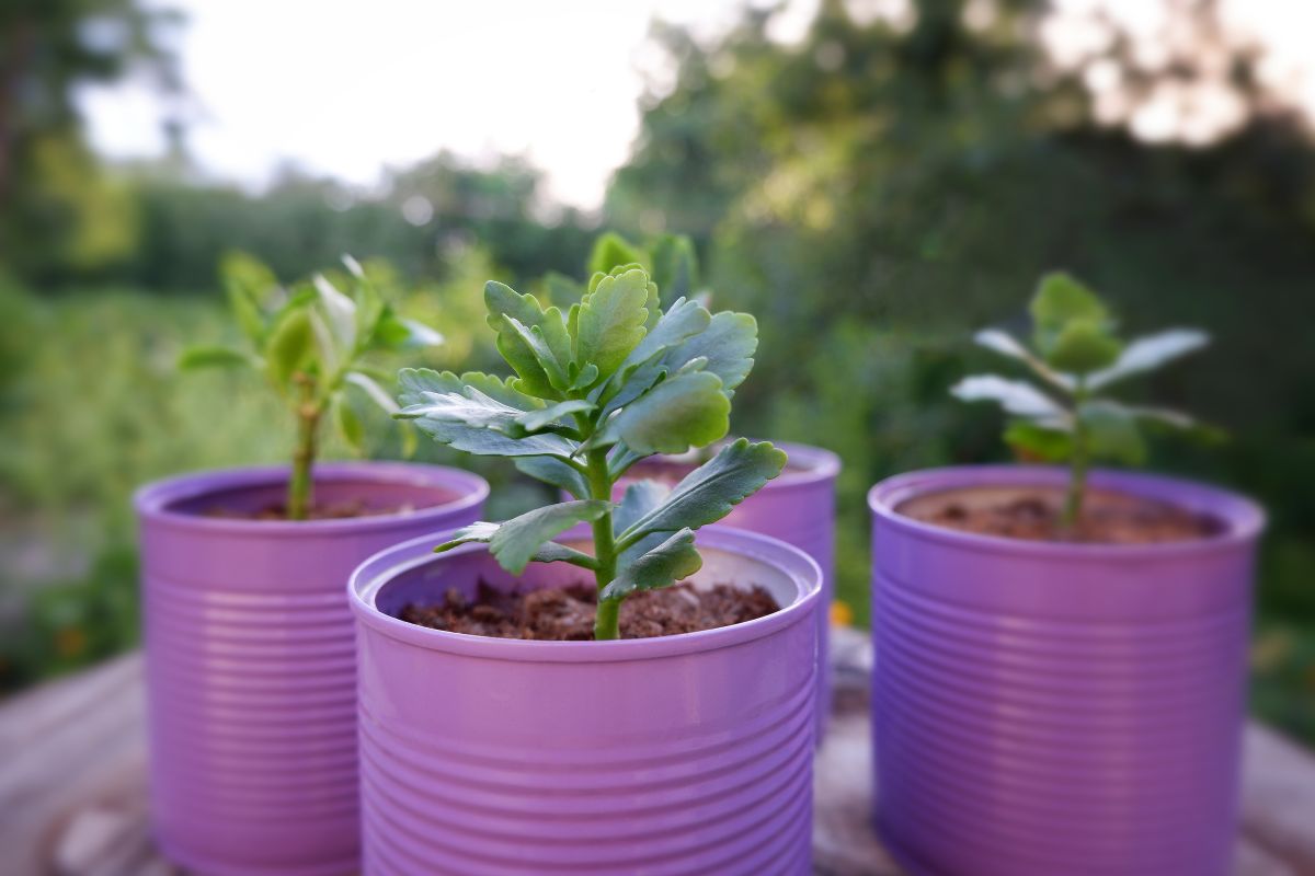 arredamento da giardino con materiali di recupero