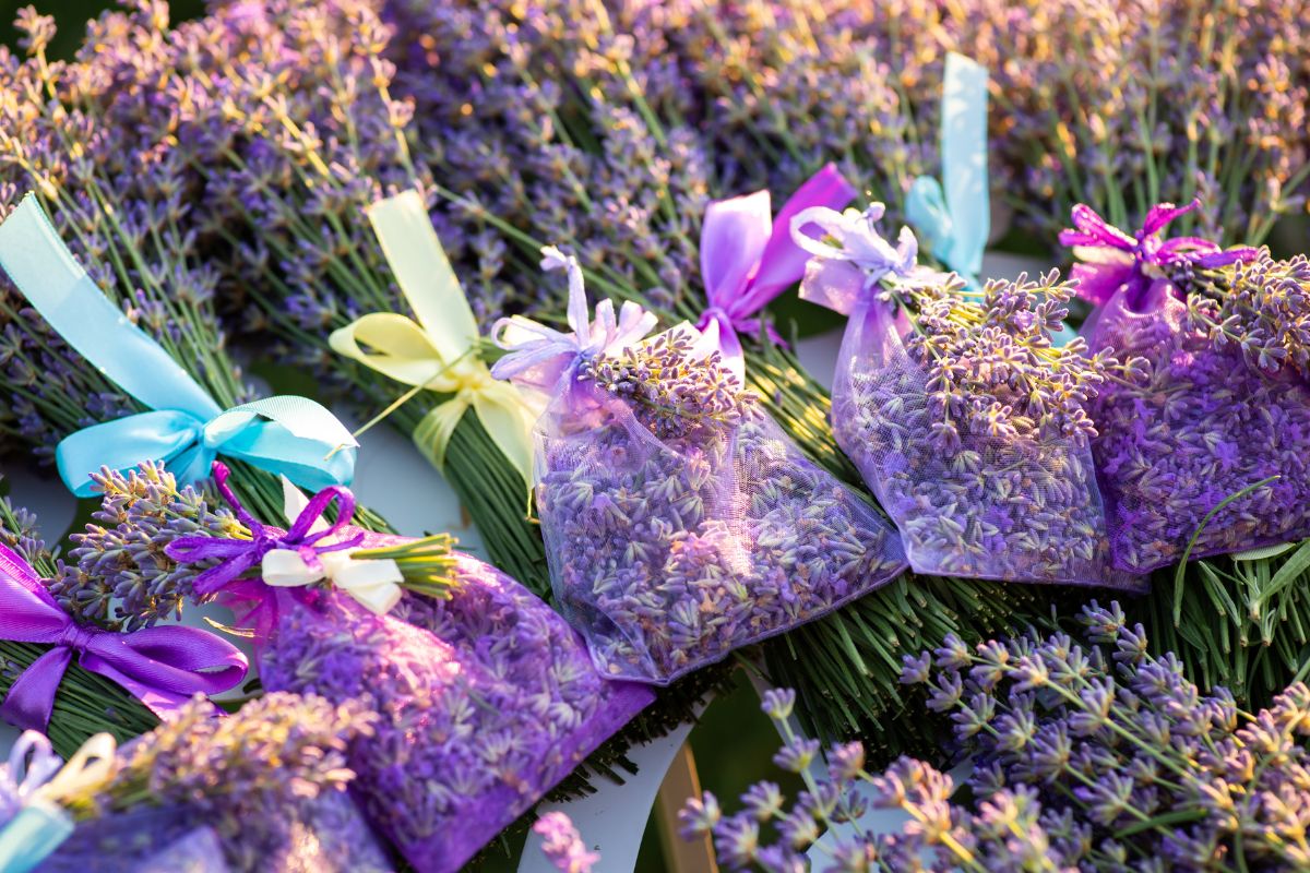 lavanda per bomboniere fai da te