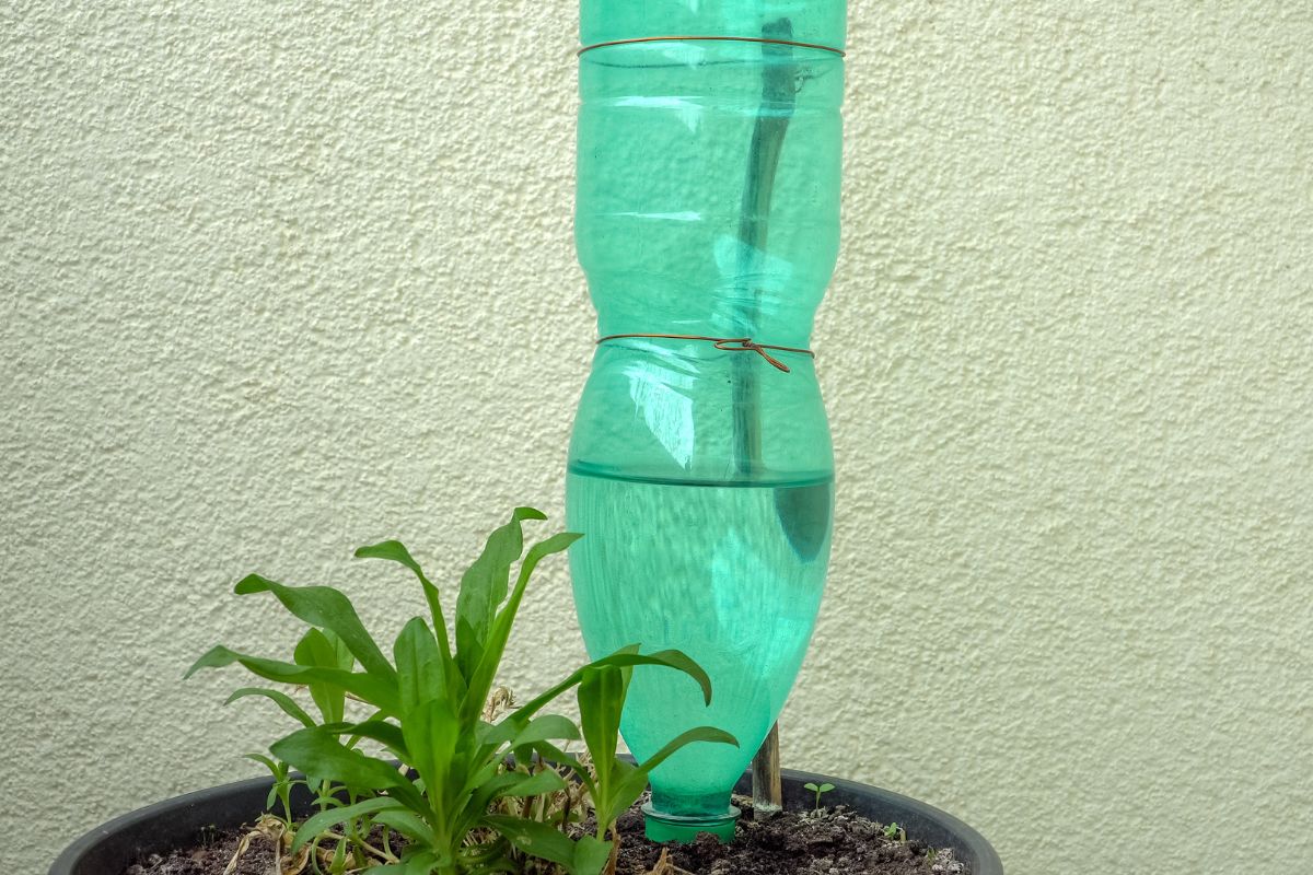 riciclo bottiglie di plastica