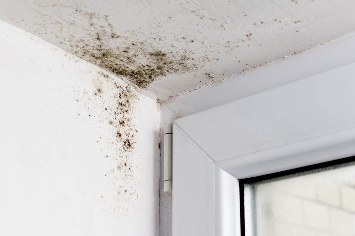 come fare uno spray antimuffa fai-da-te