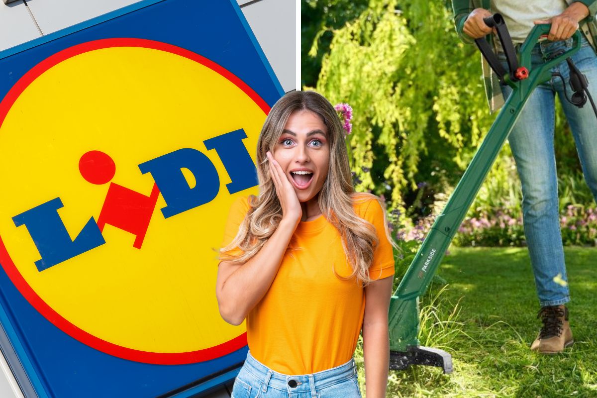 lidl tagliabordi elettrico