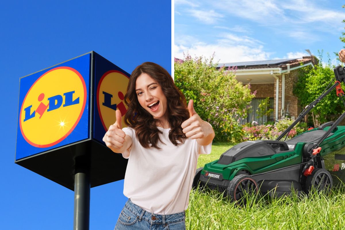 lidl tosaerba elettrico parkside