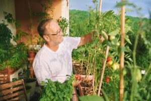 coltivare in vaso l’orto sul balcone