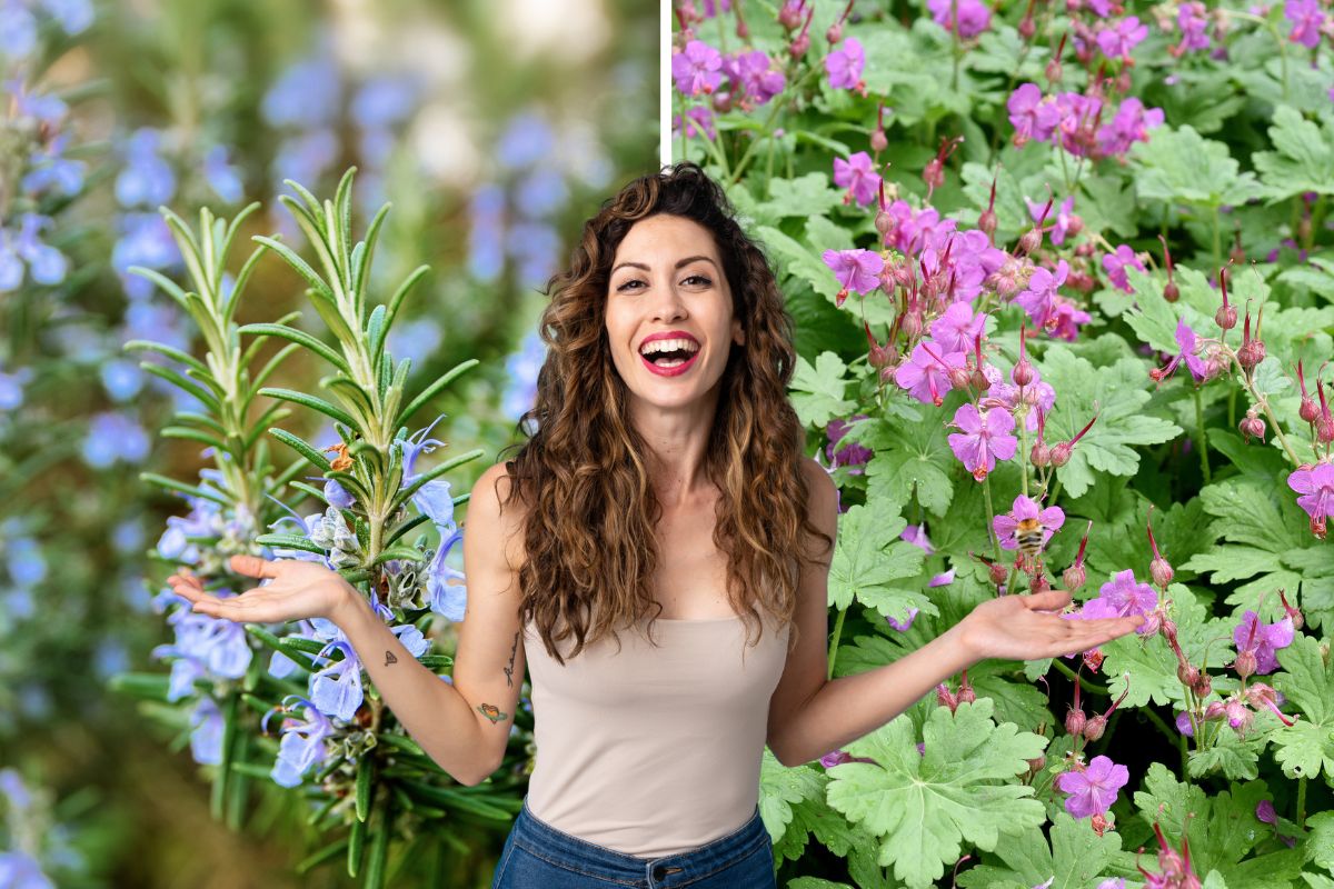 mix di piante per il balcone