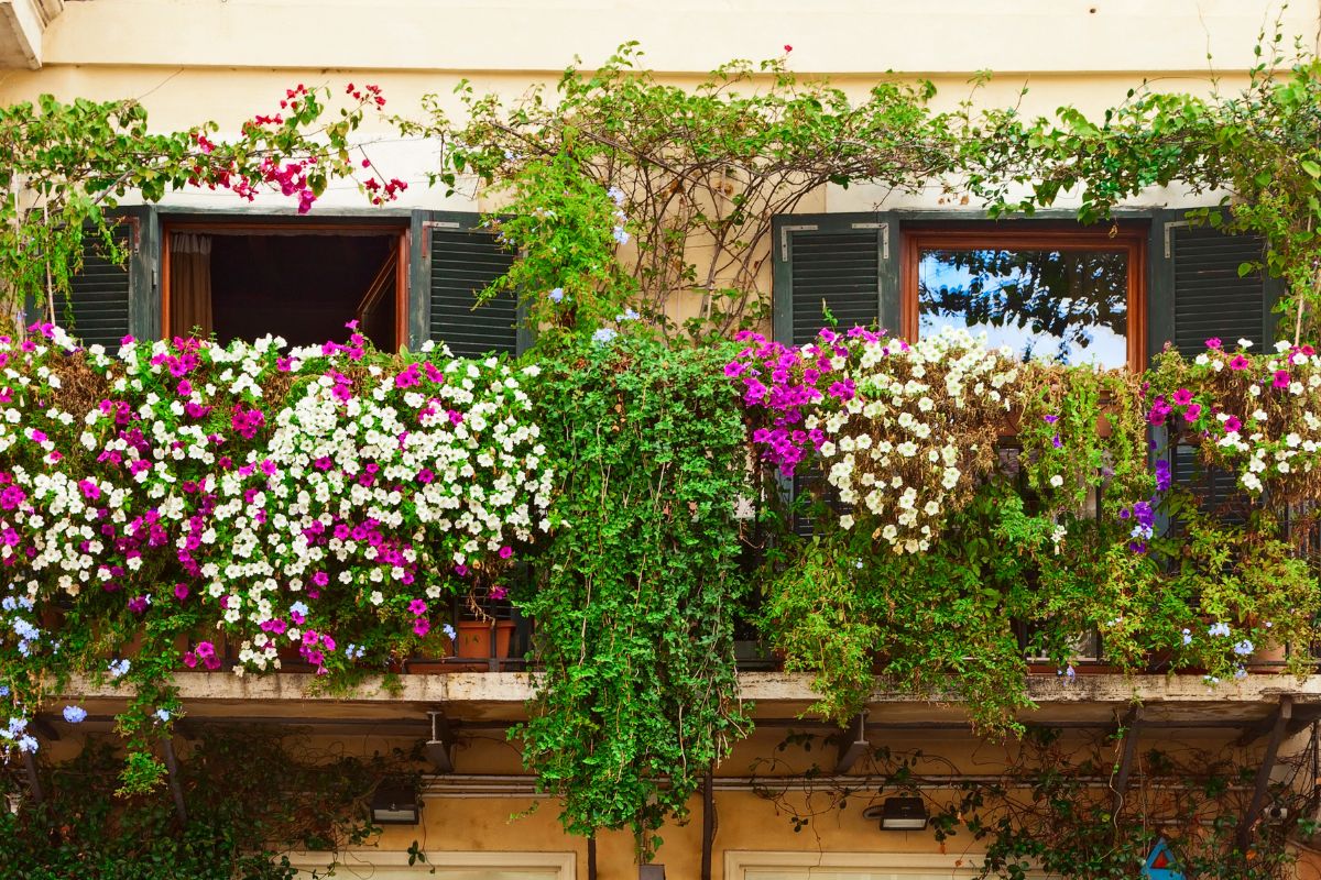 balcone pieno di fiori a giugno