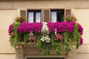 balcone con fiori