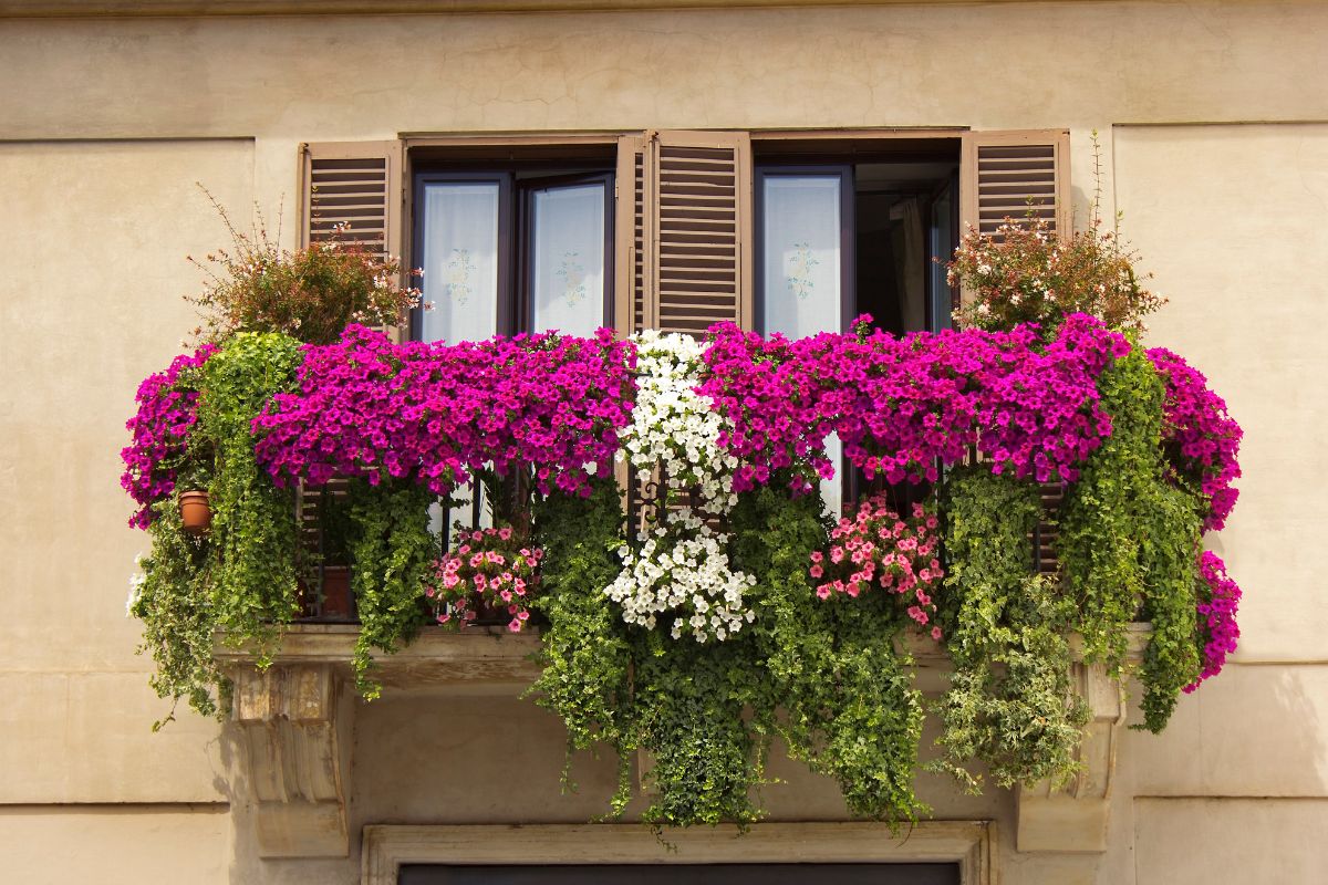 balcone con fiori
