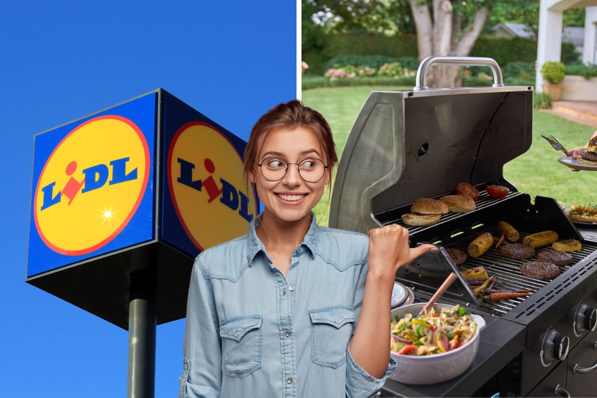 lidl barbecue a gas