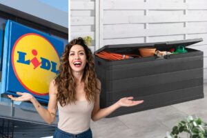 lidl box da giardino da 280l