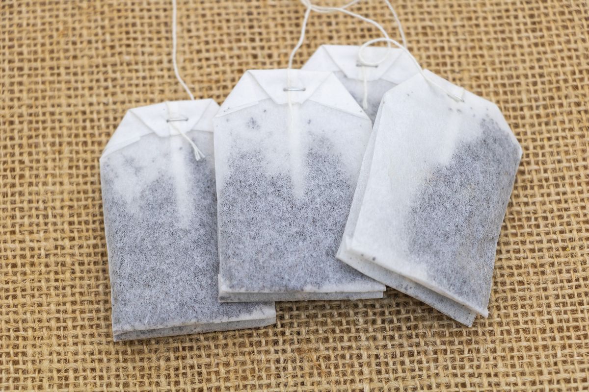 bustina di tè per eliminare ogni odore in cucina