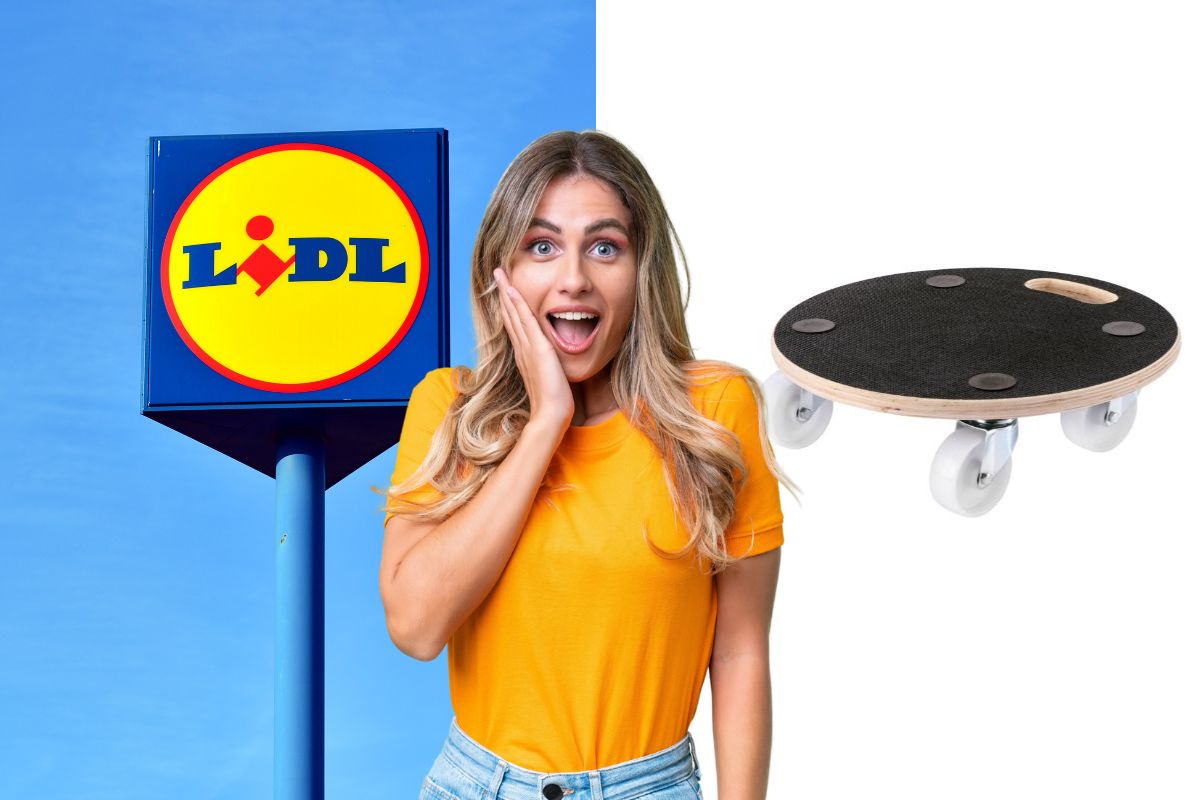 lidl carrello da trasporto universale