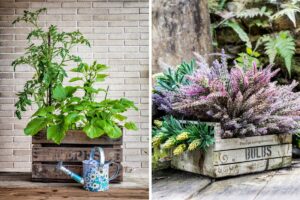 arredare balcone e giardino con cassette di legno