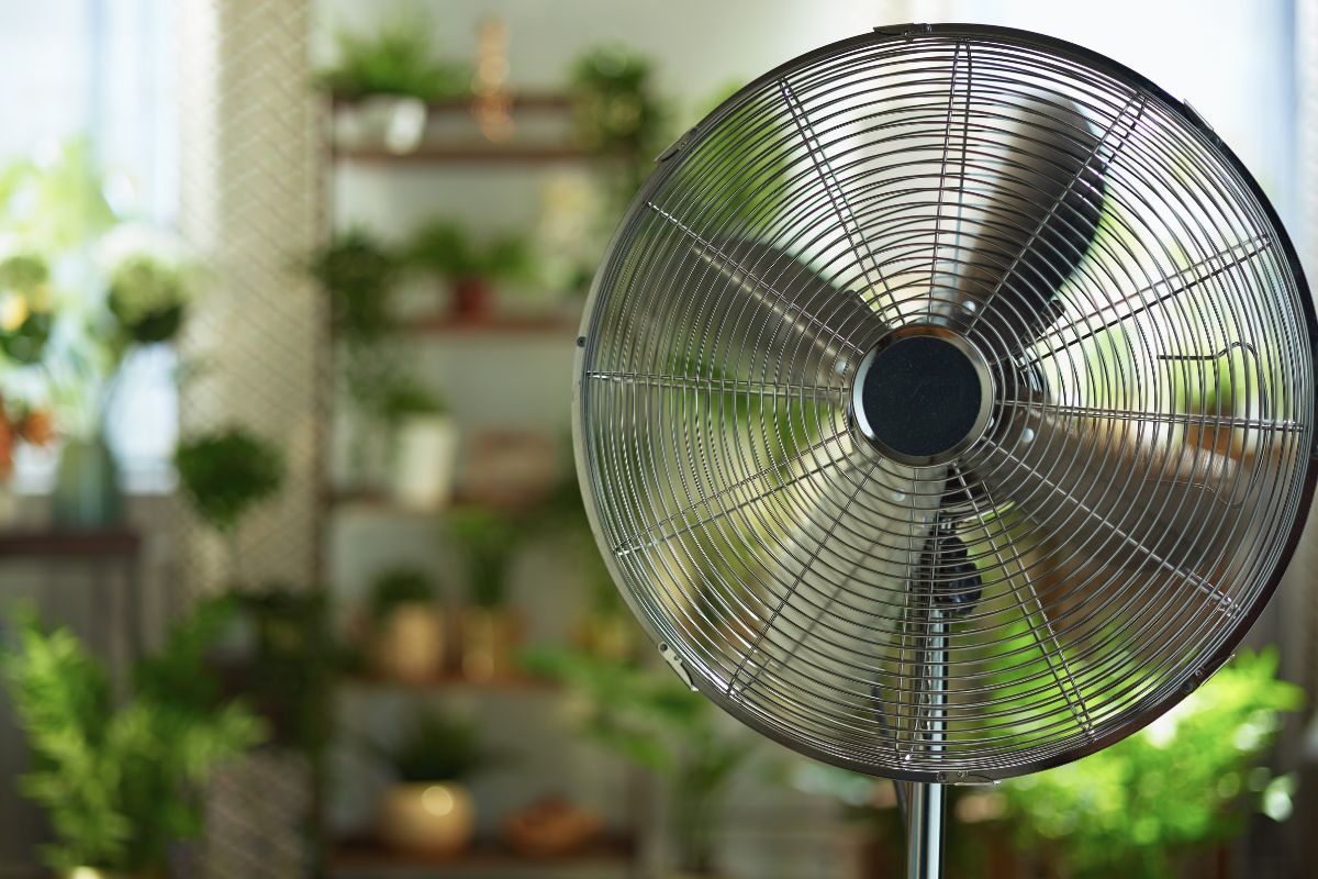 pulizia del ventilatore