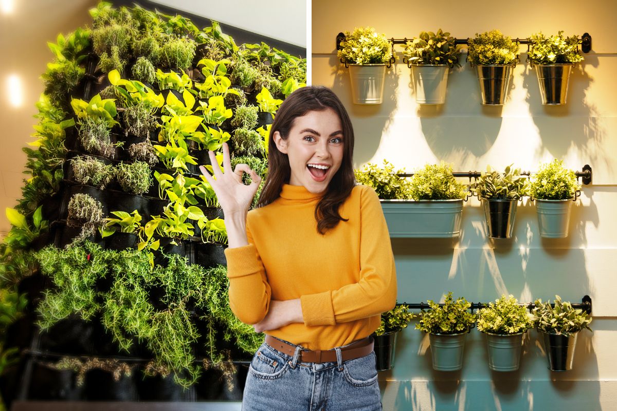 come realizzare un giardino verticale