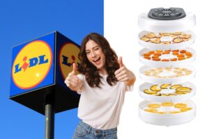 lidl essiccatore per alimenti