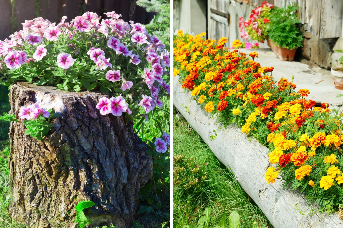fioriera fai da te con vecchi legni in giardino
