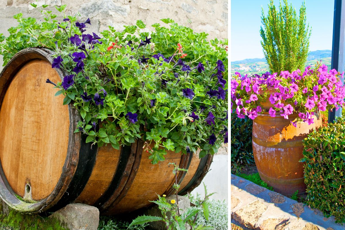 arredo con botti da vino