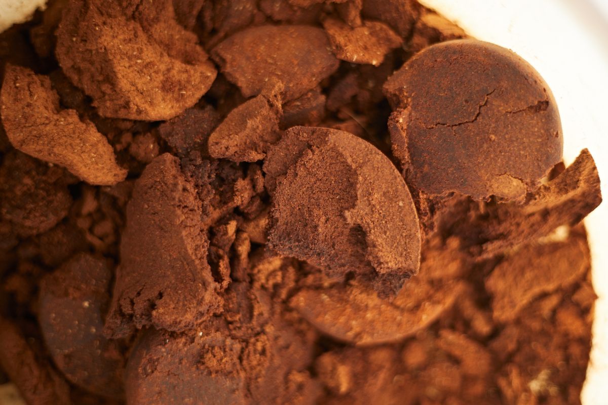 fondi di caffè piante che non li tollerano