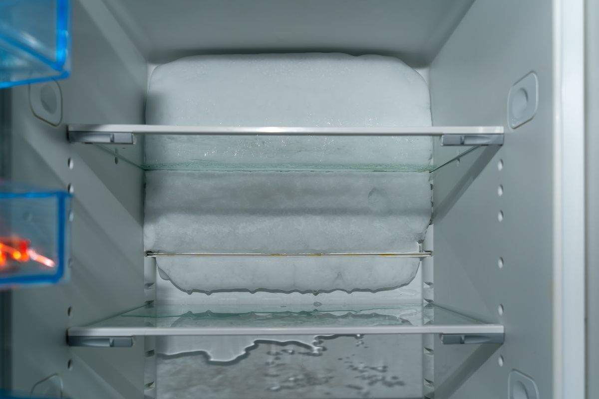 sbrinare la parete posteriore del frigo