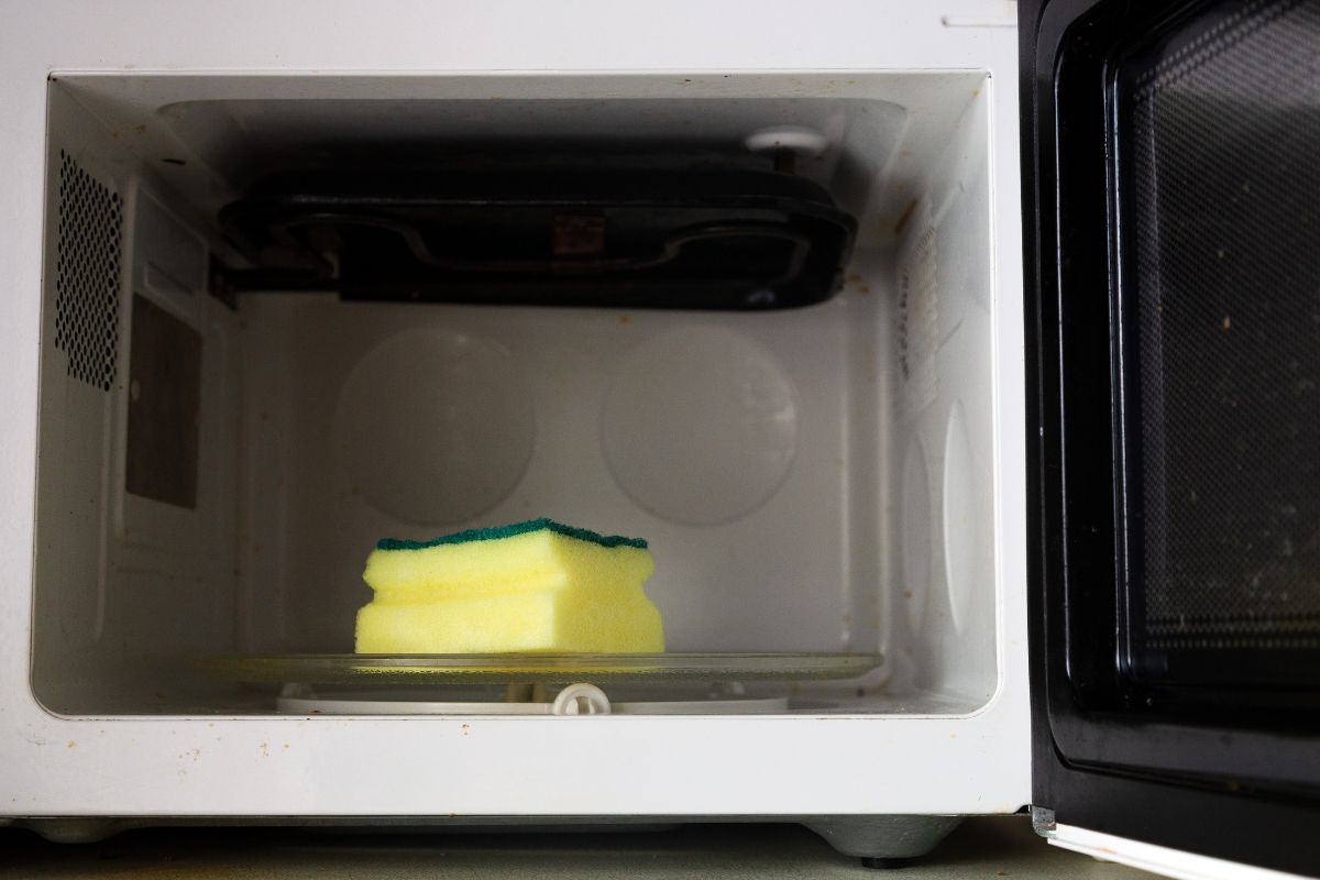 disinfettare le spugne da cucina con il microonde